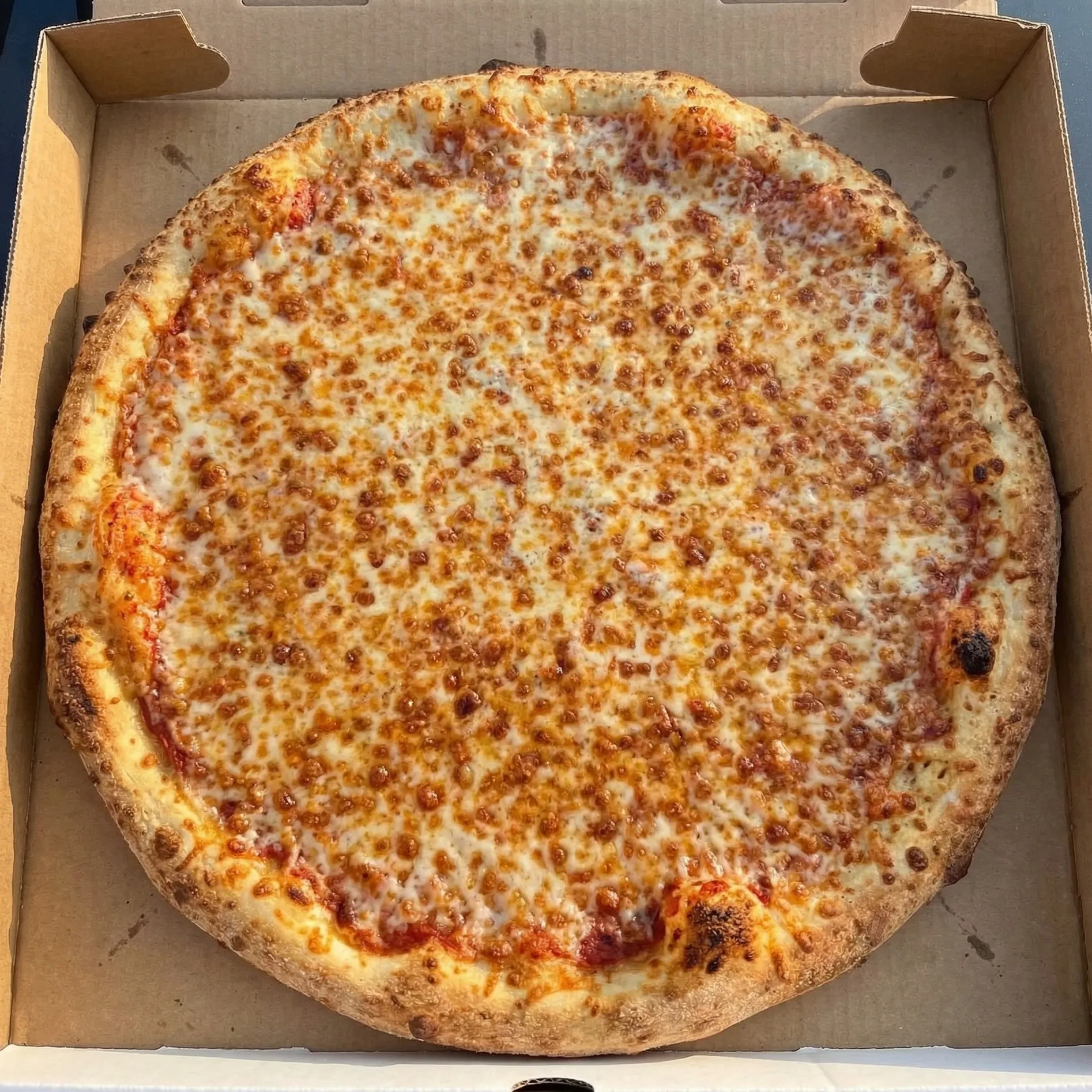 Classic cheese pizza at Pizza Loco in Sherwood Park, AB